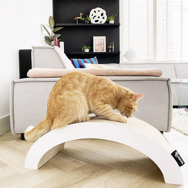 District 70 Arch Cardboard Cat Scratcher -
